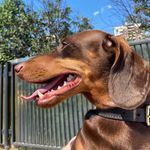 Profile Picture of My name is Parker! (@your_daily_dose_of_parker) on Instagram