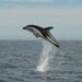 Profile Picture of Brian Stayer (@brianstayer) on Pinterest