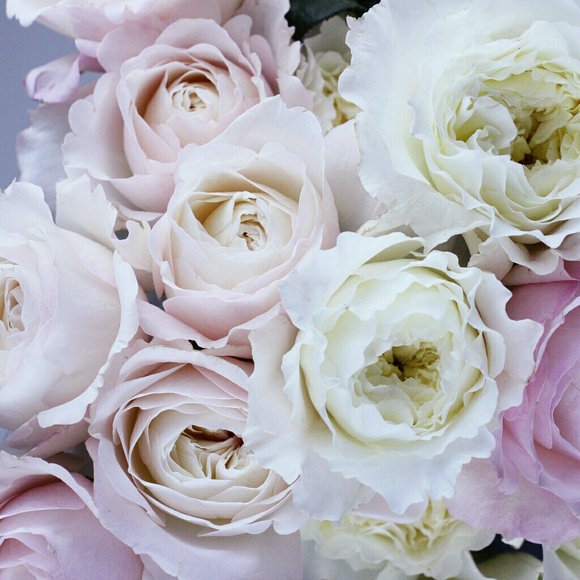 Profile Picture of Camille Braveman (@fabuloustoday) on Poshmark