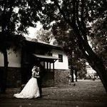 Profile Picture of Nebojsa Stefanovic (@neso_stefanovic) on Instagram