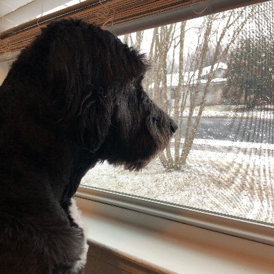 Profile Picture of Brian Stauffer (@BrianStauffer15) on Twitter