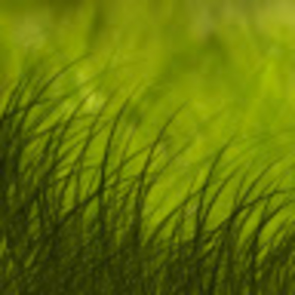 Profile Picture of Taryn Cassel (@talileigh) on Poshmark