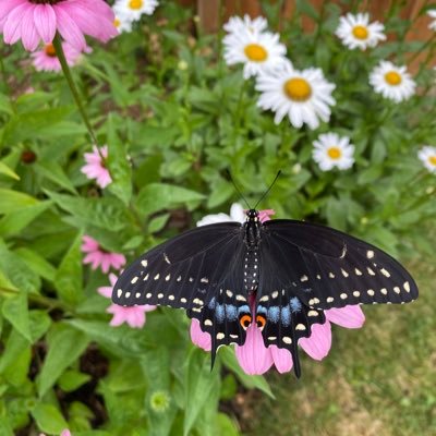 Profile Picture of Claire Weinstein (@WeinsteinClaire) on Twitter