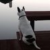 Profile Picture of Craig D Slovak (@craigd.slovak.1) on Facebook