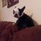 Profile Picture of Joanne Tidwell Easterling (@roy.avery.754) on Facebook