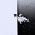 Profile Picture of Tom Joseph (@tomjoseph4) on Flickr