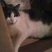 Profile Picture of Robbin Sapp (@robbin.sapp.35) on Facebook