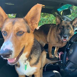 Profile Picture of Blake Gibbs (@blake.gibbs.73) on Facebook