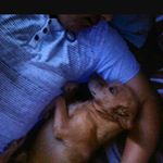 Profile Picture of Jesse Mireles (@giantjesse556) on Instagram
