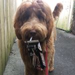Profile Picture of Hi (@matthew.cope07) on Instagram