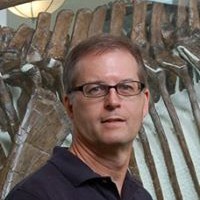 Profile Picture of David Wayne Sampson (@david-wayne-sampson) on Quora