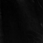 Profile Picture of Isabelle Holland (@isabelleholland9526) on Youtube