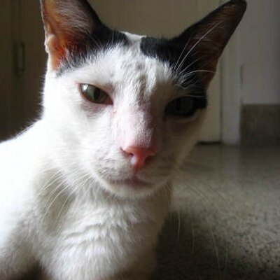 Profile Picture of Jonathan Ladner (@JonathanLadner) on Twitter