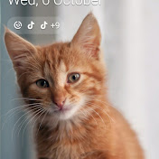 Profile Picture of Adam Sykes (@adamsykes5155) on Youtube