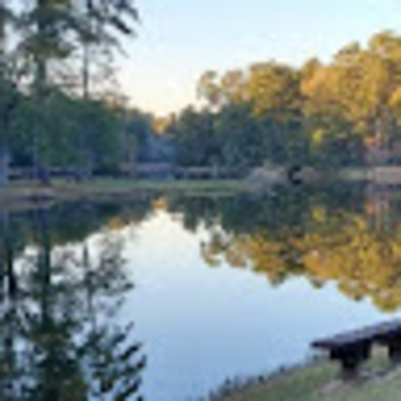 Profile Picture of Pamela Hankinson (@phankinson2010) on Poshmark