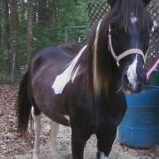 Profile Picture of Jeanna Key (@jk2904) on Pinterest