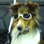 Profile Picture of clintmcginnis (@clintmcginnis) on Instagram