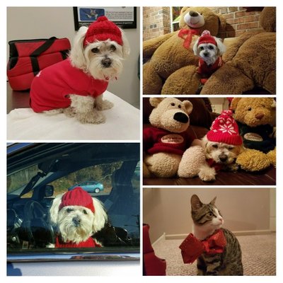 Profile Picture of Joyce Nicholson (@JoyceNi11162634) on Twitter