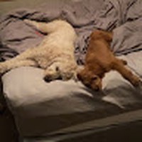 Michael Gier - Quora Profile Picture of Michael Gier (@michael-gier-3) on Quora