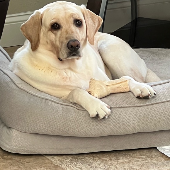 Profile Picture of Samantha Barbieri (@sbarbieri7) on Poshmark