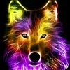 Profile Picture of Dustinengelhard (@dustinengelhard) on Tiktok