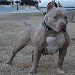 Michael Lavender - Instagram Profile Picture of Michael Lavender (@mikelav33) on Instagram