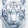Profile Picture of Pether Nkorn (@pethernkorn) on Tiktok