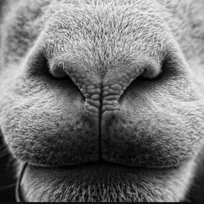 Profile Picture of Scott Gentle (@ScottGentle2) on Twitter