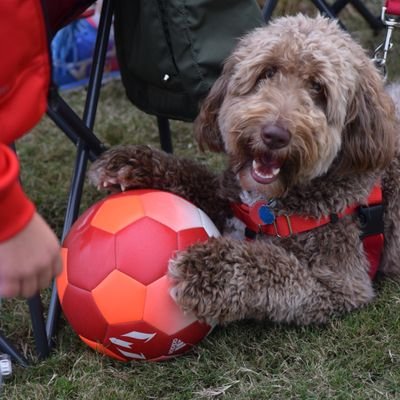 Profile Picture of Dan Wolfe (@DanWolfeUS) on Twitter