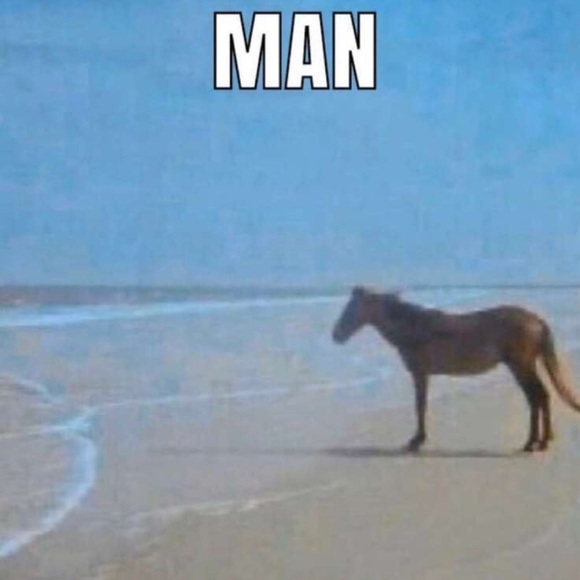 Daxton Osment - Poshmark Profile Picture of Daxton Osment (@daxton333) on Poshmark