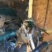 Profile Picture of Mark Carroway (@carroway0400) on Pinterest