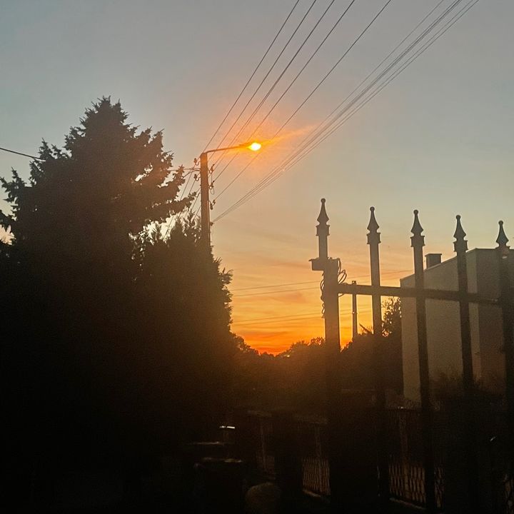 Profile Picture of Paula (@paulagrein0) on Tiktok