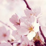 Profile Picture of Mandy Wade (@mandywade7642) on Youtube