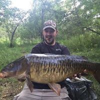 Tom Perron - Pinterest Profile Picture of Tom Perron (@tperron87) on Pinterest