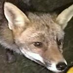 Profile Picture of Sérgio Sequeira (@sergio.sequeira.1675) on Instagram