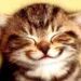 Profile Picture of Pamela Decker (@inmankitten) on Pinterest