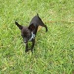 Profile Picture of Ange Nicolas (@ange.nicolas2017) on Instagram