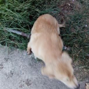 Profile Picture of Noel Espiritu (@noelespiritu220) on Twitter