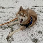 Profile Picture of Edward Cedric Nicholas (@edward_cedric_nicholas) on Instagram