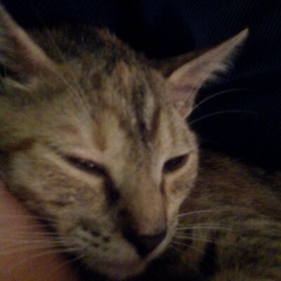 Celia Botello - Twitter Profile Picture of Celia Botello (@celinabotel) on Twitter