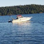 Profile Picture of Pat Garrity (@piggy1959) on Instagram