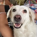 Profile Picture of Franz Clementir (@franz.clementir.1) on Facebook