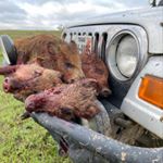 Profile Picture of James Dodson (@wise_county_hogs) on Instagram