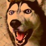 Profile Picture of Steven Arredondo (@one_goldie_boi) on Instagram