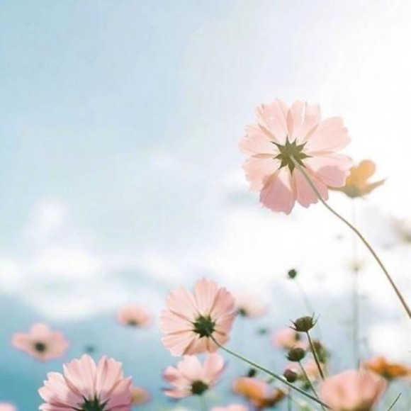 Profile Picture of Clifford Moore (@keneighjfnvfa) on Poshmark