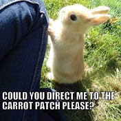 Profile Picture of Richard Schneider (@richardschneider6331) on Youtube