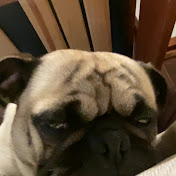 Profile Picture of Aaron Conner (@AaronConner-ff3yo) on Youtube