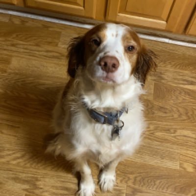 Profile Picture of Jeff Bull (@JeffBul58067188) on Twitter