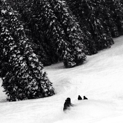 Profile Picture of Andy Chermak (@chermak_andy) on Twitter