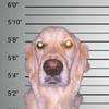Profile Picture of Richard Melvin Sutter (@gunnaboystunna444) on Tiktok